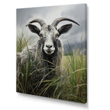 Grey meadow buck Goat Peaks - Goat Home Decor Art