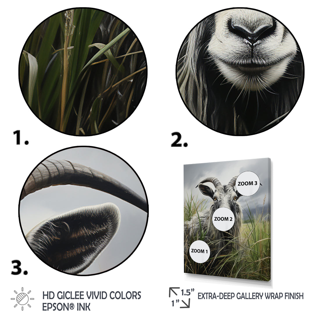 Grey meadow buck Goat Peaks - Goat Home Decor Art