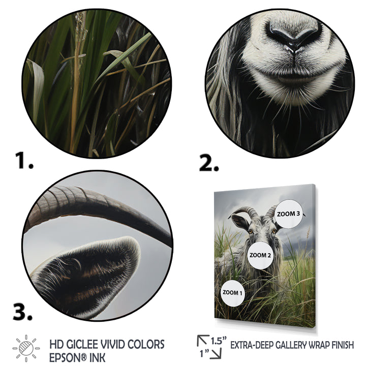 Grey meadow buck Goat Peaks - Goat Home Decor Art