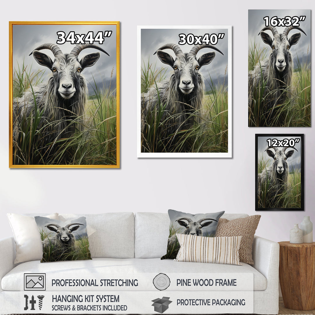 Grey meadow buck Goat Peaks - Goat Home Decor Art