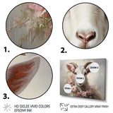 White Billy goat in pink floral Coller - Goat Canvas Wall Art