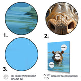 Grey Joyful Hippo - Hippopotamus Wall Decor