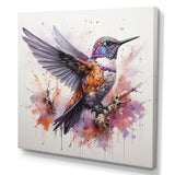 Purple Hummingbird Beauty - Hummingbird Framed Canvas Art