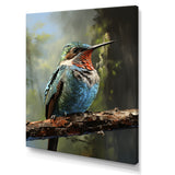 Blue and green Radiant hummingbird Beauty - Hummingbird Framed Canvas Art