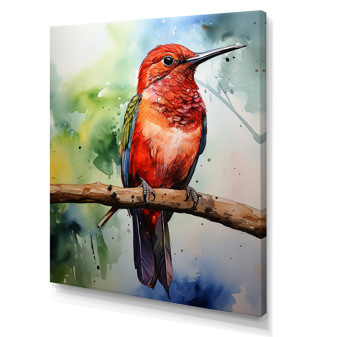 Red and green Radiant hummingbird Beauty - Hummingbird Large Canvas Wall Art
