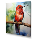 Red and green Radiant hummingbird Beauty - Hummingbird Large Canvas Wall Art
