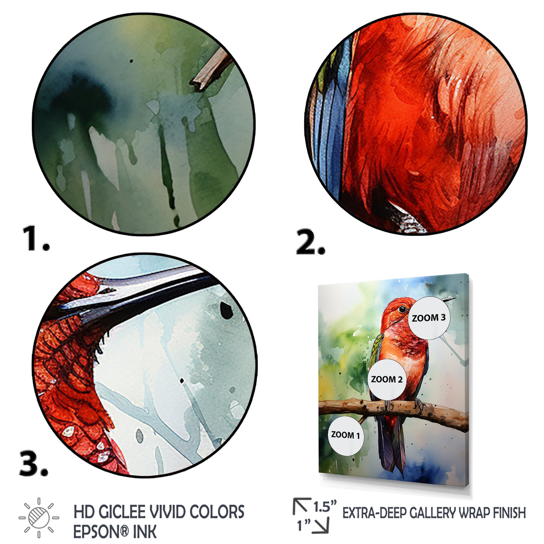 Red and green Radiant hummingbird Beauty - Hummingbird Large Canvas Wall Art