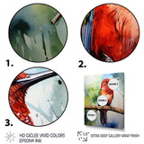Red and green Radiant hummingbird Beauty - Hummingbird Large Canvas Wall Art
