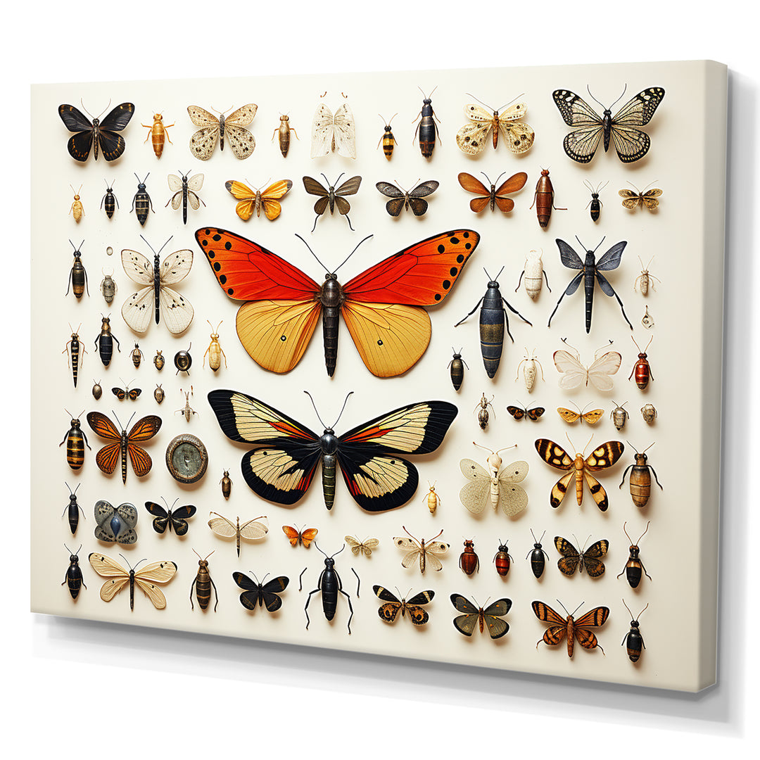 Orange Insects and Bugs - Yellow Insects &amp; Bugs Wall Art