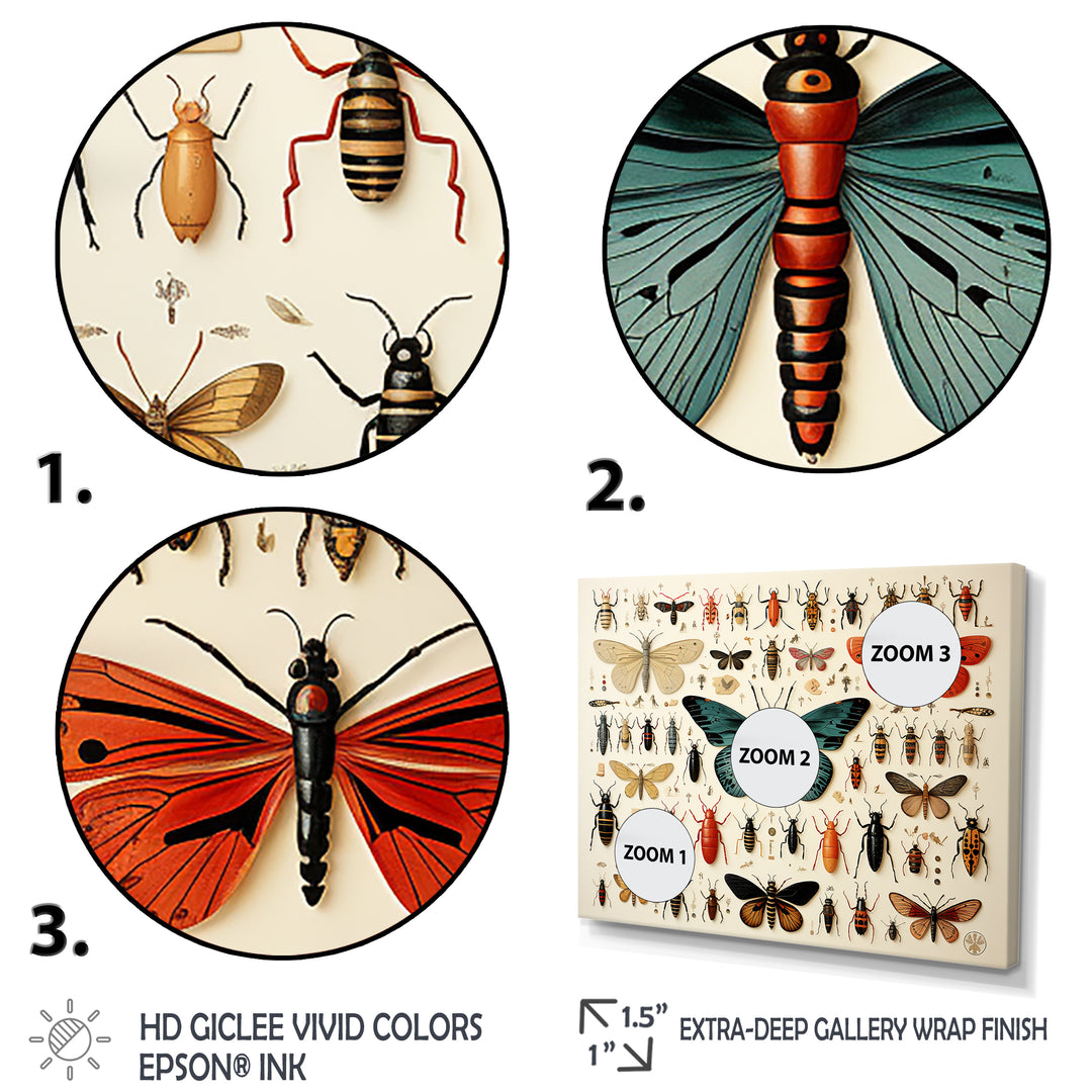 Orange and blue Insects and Bugs - Blue Insects &amp; Bugs Wall Art