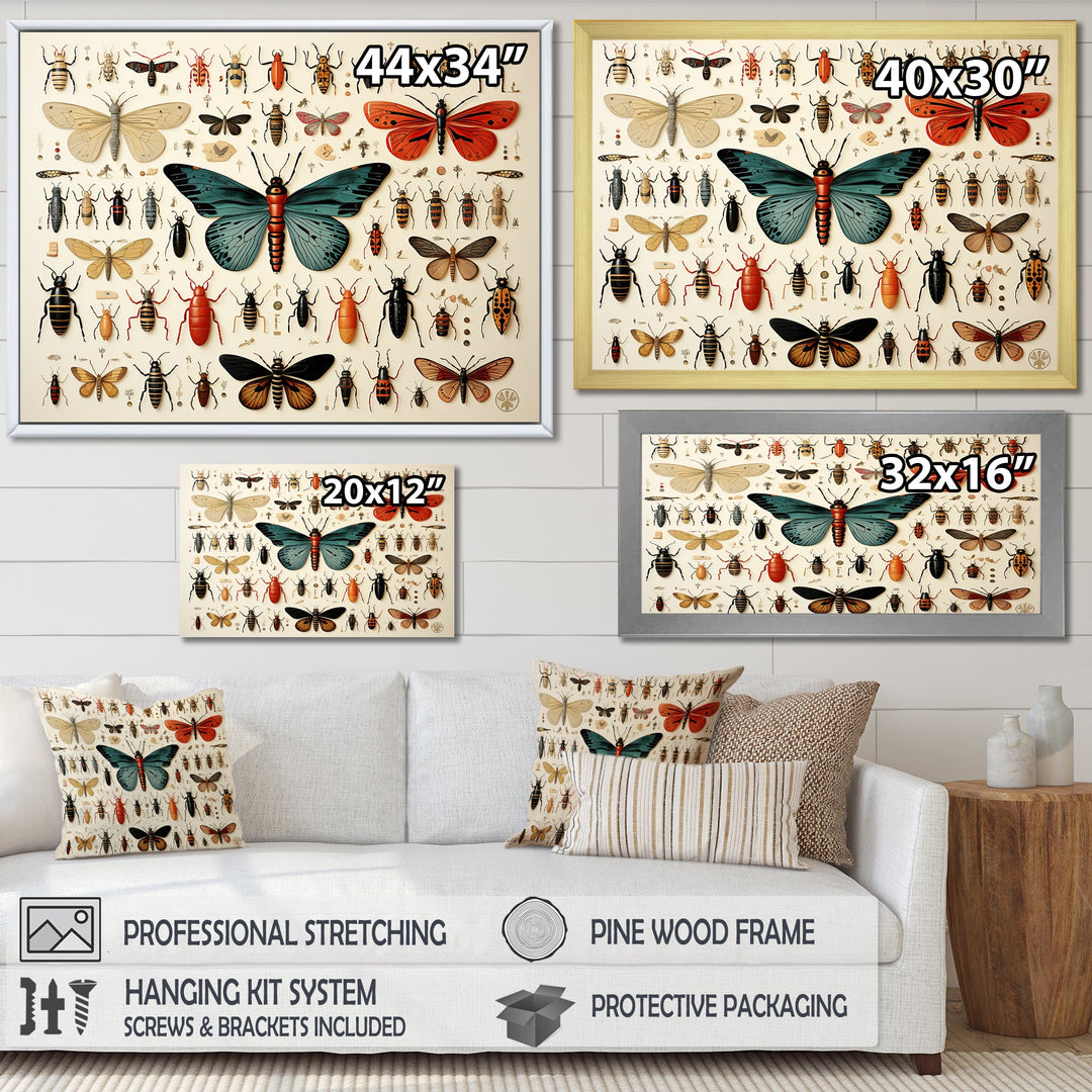 Orange and blue Insects and Bugs - Blue Insects &amp; Bugs Wall Art