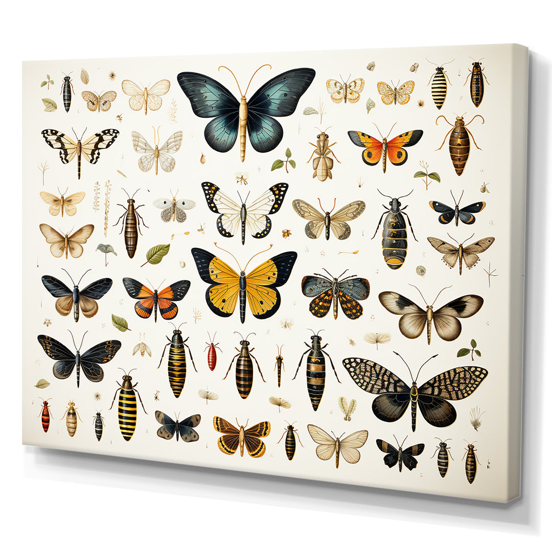 Yellow and blue Insects and Bugs - Insects &amp; Bugs Framed Canvas Art