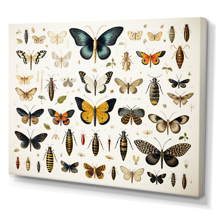 Yellow and blue Insects and Bugs - Insects &amp; Bugs Framed Canvas Art