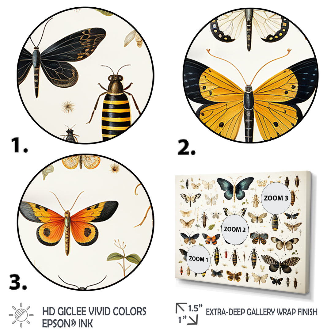 Yellow and blue Insects and Bugs - Insects &amp; Bugs Framed Canvas Art