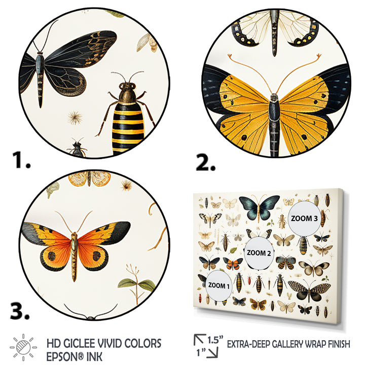 Yellow and blue Insects and Bugs - Insects &amp; Bugs Framed Canvas Art