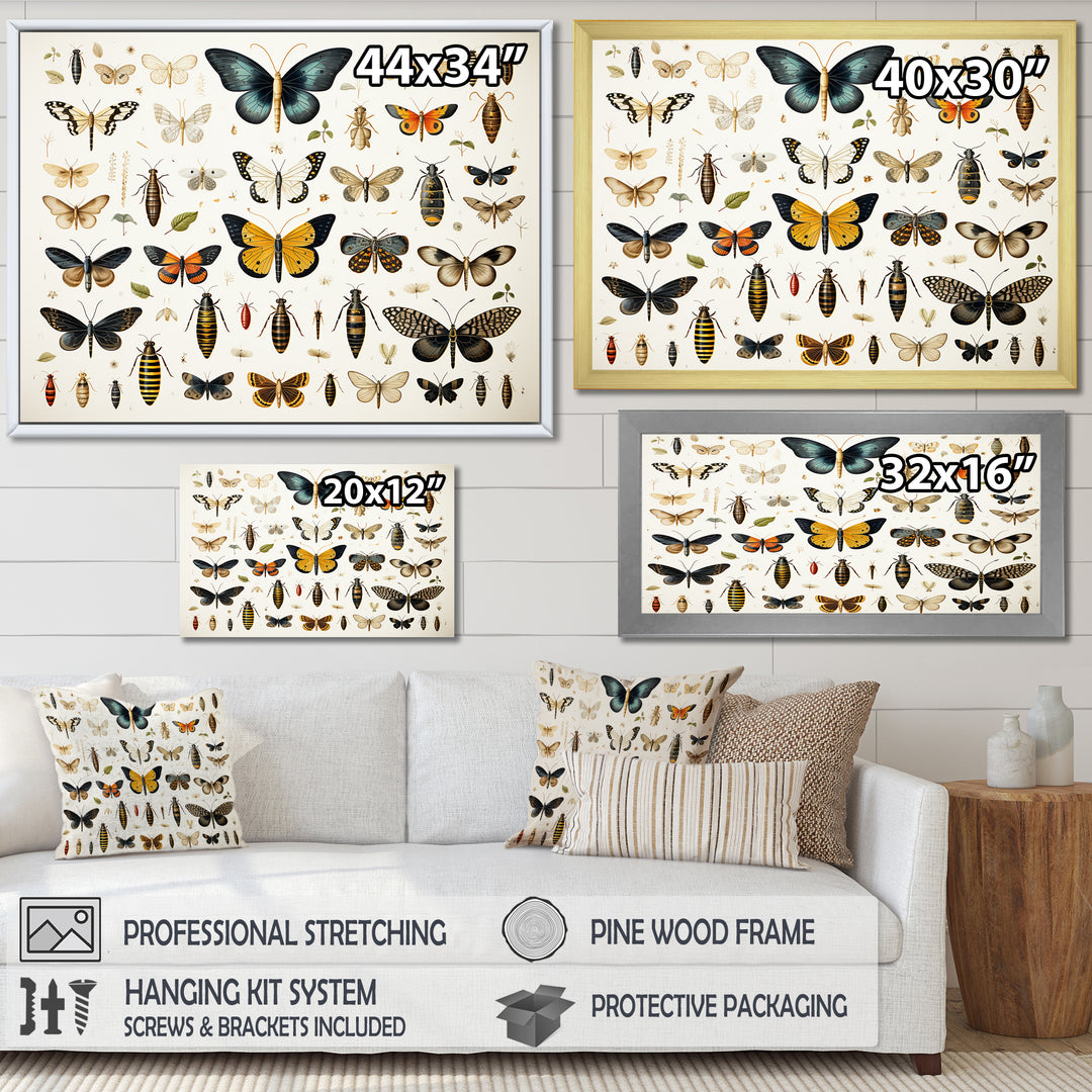 Yellow and blue Insects and Bugs - Insects &amp; Bugs Framed Canvas Art