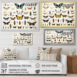 Yellow and blue Insects and Bugs - Insects & Bugs Framed Canvas Art