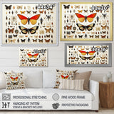 Yellow and orange Insects and Bugs - Insects & Bugs Large Canvas Wall Art