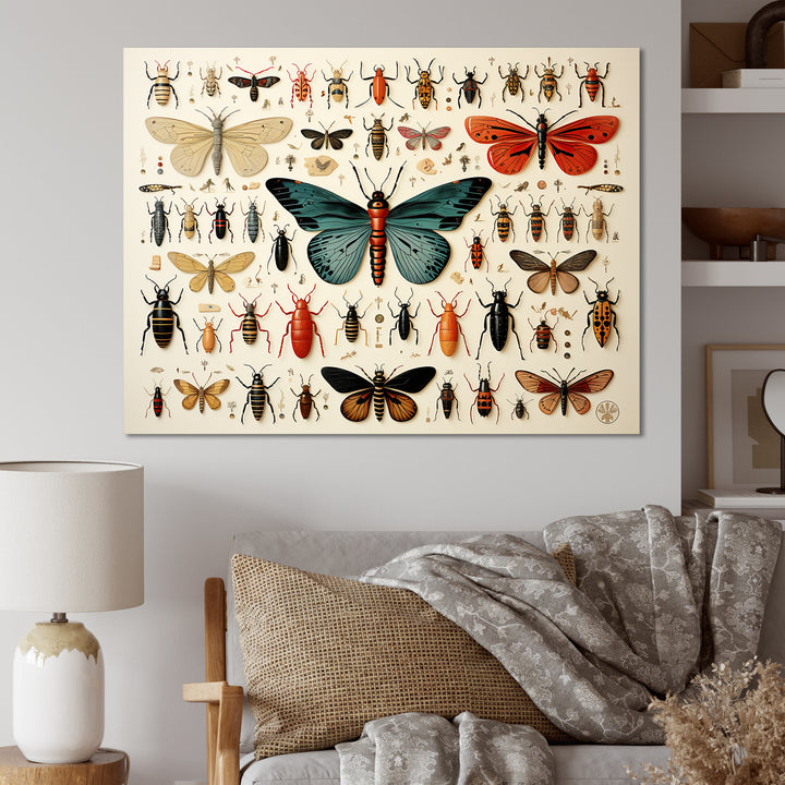 Blue and orange Insects and Bugs - Insects &amp; Bugs Living Room Wall Art