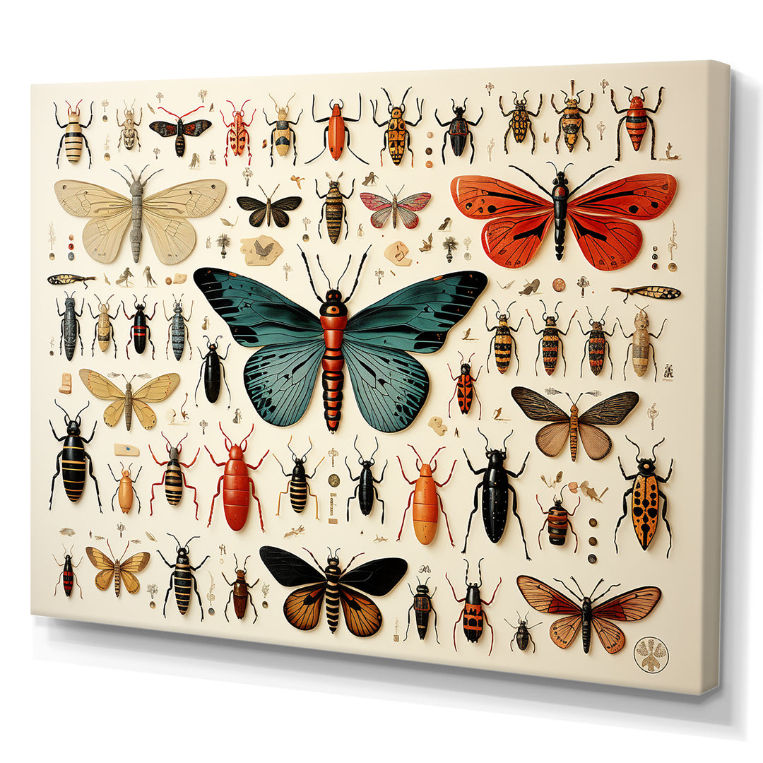 Blue and orange Insects and Bugs - Insects &amp; Bugs Living Room Wall Art