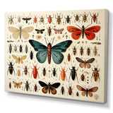 Blue and orange Insects and Bugs - Insects & Bugs Living Room Wall Art