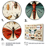 Blue and orange Insects and Bugs - Insects & Bugs Living Room Wall Art