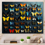Colorful fluttering butterflies collage - Insects & Bugs Home Decor Art