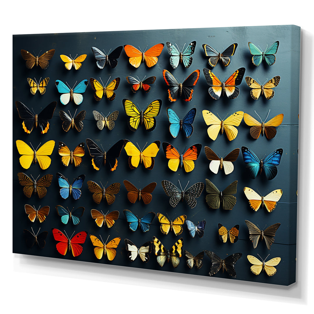 Colorful fluttering butterflies collage - Insects &amp; Bugs Home Decor Art