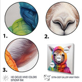 Colorful Llama Marvels - Llama Living Room Wall Art
