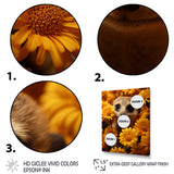 Yellow floral Meerkat - Meercat Wall Decor