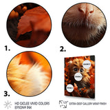 Brown Fall Foliage Monkey - Monkey Bedroom Wall Art
