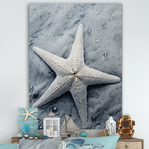 Grey minimalist Starfish Coastal gem - Starfish Wall Decor