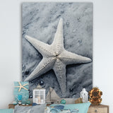Grey minimalist Starfish Coastal gem - Starfish Wall Decor