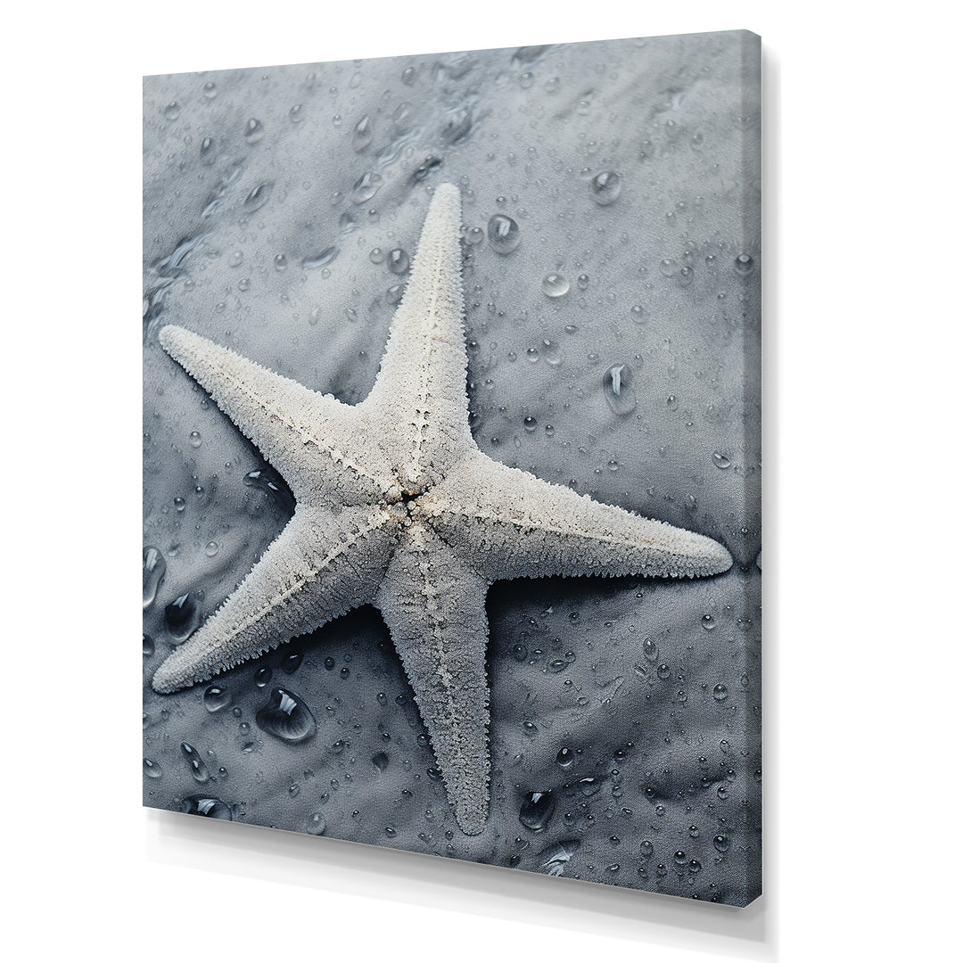 Grey minimalist Starfish Coastal gem - Starfish Wall Decor