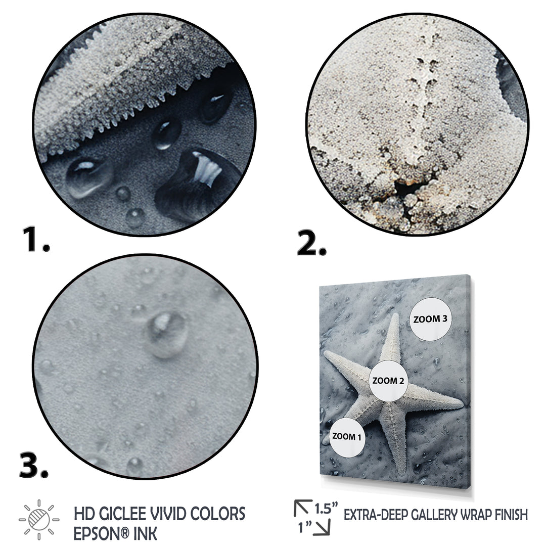 Grey minimalist Starfish Coastal gem - Starfish Wall Decor