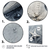 Grey minimalist Starfish Coastal gem - Starfish Wall Decor