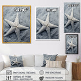 Grey minimalist Starfish Coastal gem - Starfish Wall Decor