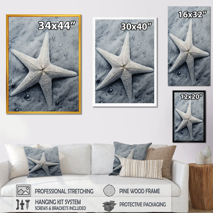 Grey minimalist Starfish Coastal gem - Starfish Wall Decor