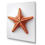 Minimalist starfish orange - Starfish Wall Decor