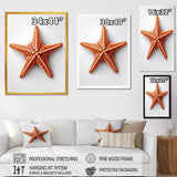 Minimalist starfish orange - Starfish Wall Decor
