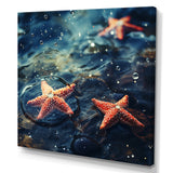 Yellow Oceanic starfish romance photo - Starfish Wall Art Prints