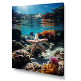 Blue Rainbow Starfish photo - Blue Starfish Wall Art