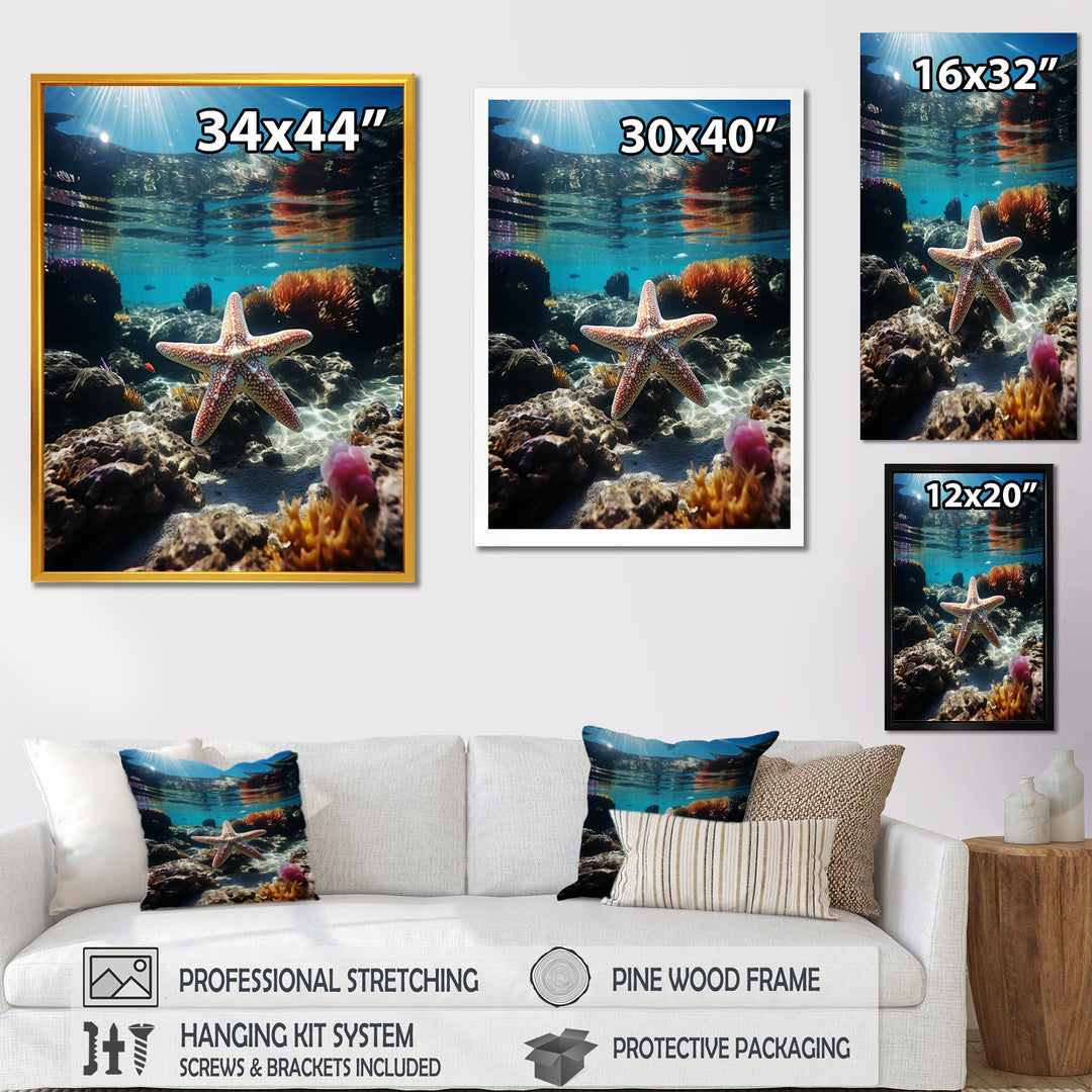 Blue Rainbow Starfish photo - Blue Starfish Wall Art