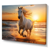 Wild horse running on beach 1 - Coastal Canvas Wall Art