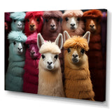 Colorful Alpacas Festive Fiesta - Alpaca Living Room Wall Art