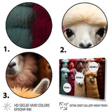 Colorful Alpacas Festive Fiesta - Alpaca Living Room Wall Art
