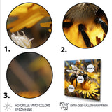 Pollen fuzzy buzz bumble bee - Bee Large Canvas Wall Art