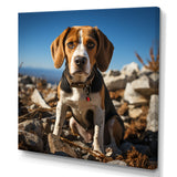 Rescue beagle dog in rocky - Dog Beagle Living Room Wall Art