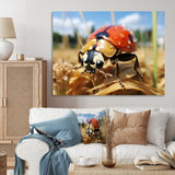Curious ladybug meadows - Ladybug Canvas Wall Art