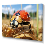 Curious ladybug meadows - Ladybug Canvas Wall Art